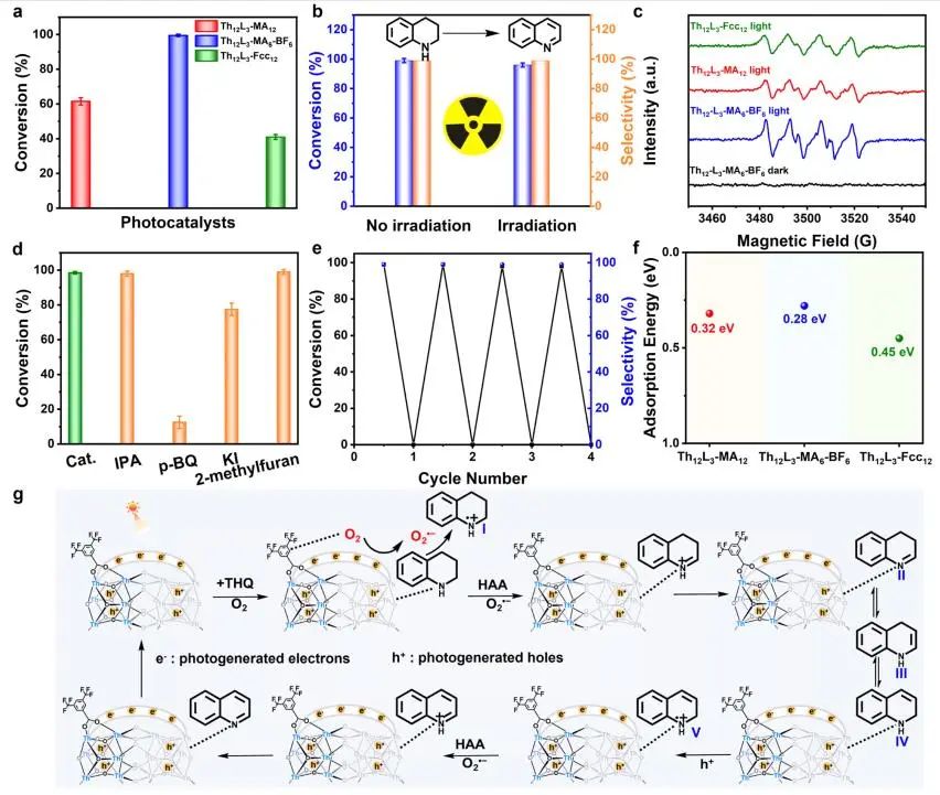 他，211「国家杰青」，东北师大本博，发表最新JACS！