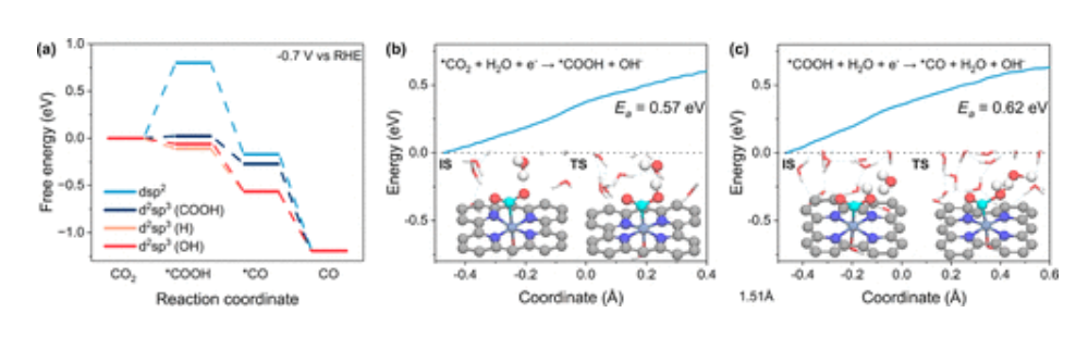 东南大学王金兰/凌崇益，最新JACS！