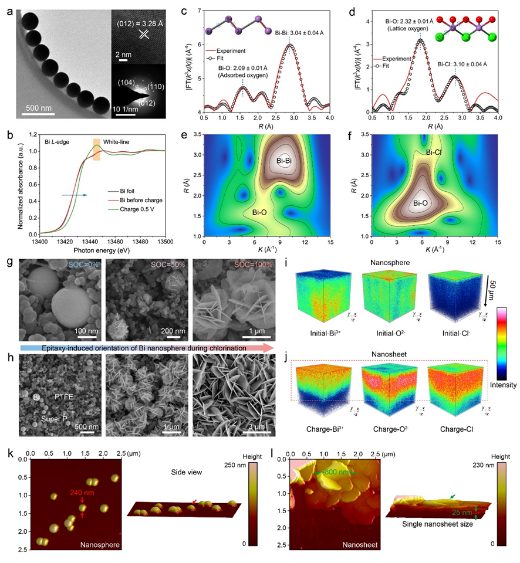 清华大学杨诚&香港城市大学支春义，最新JACS！