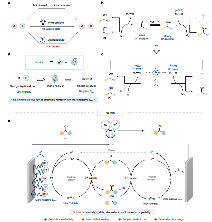 师承诺奖得主！南方科技大学，最新Nature Catalysis！