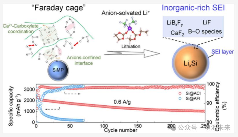 ​天大/郑大ACS Energy Letters：“法拉第笼”诱导阴离子实现工业兼容微米硅负极