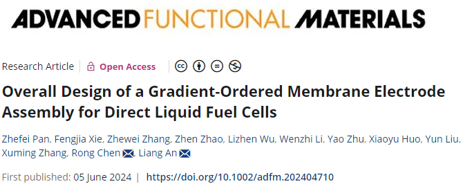 重庆大学潘哲飞/陈蓉和香港理工安亮，最新AFM！