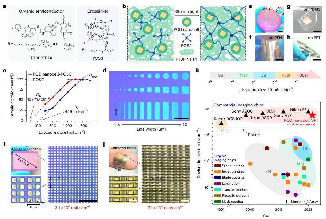 复旦大学，最新Nature Nanotechnology！