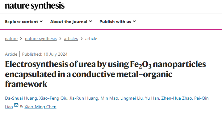 中山大学，Nature Synthesis！