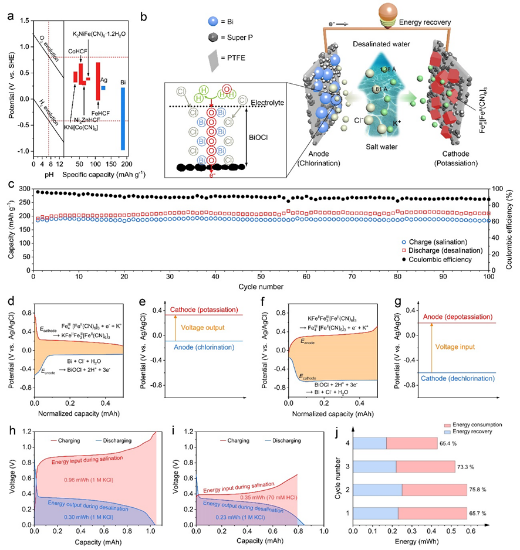 清华大学杨诚&香港城市大学支春义，最新JACS！