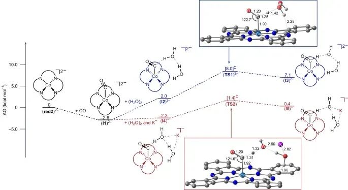 电催化CO2还原，最新Nature Catalysis！