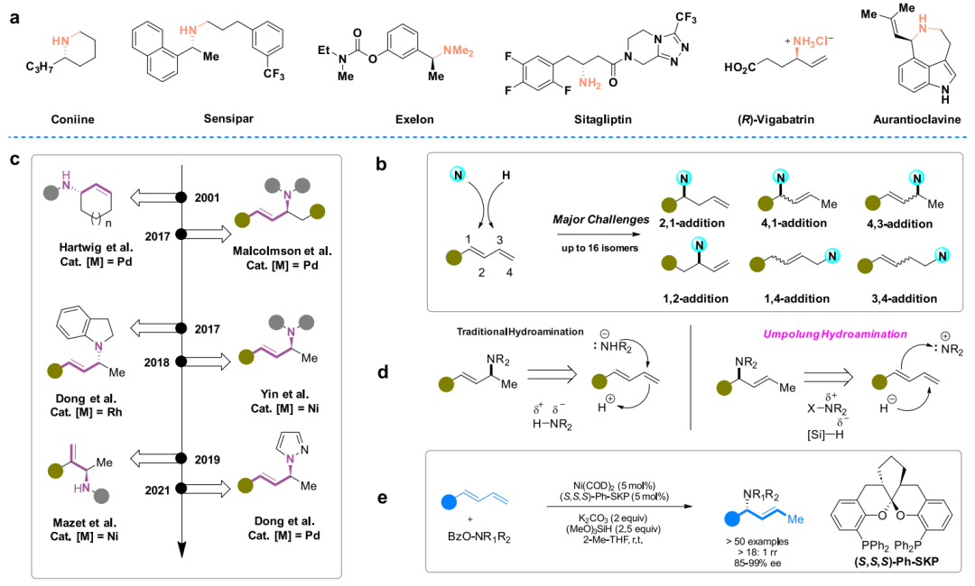 重磅！丁奎岭院士，最新JACS！