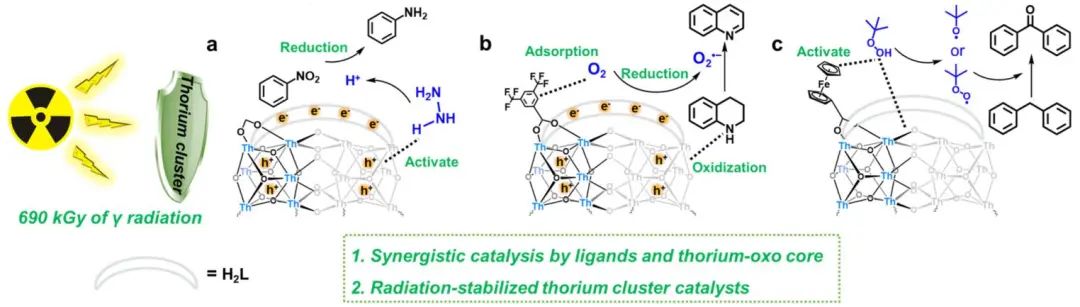 他，211「国家杰青」，东北师大本博，发表最新JACS！