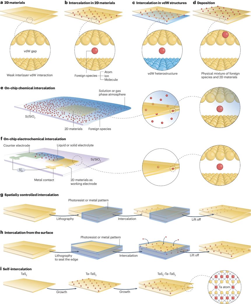 Nature Reviews Chemistry综述：二维材料的插层带来新兴电子相转移