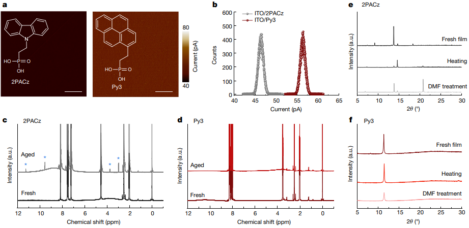 浙大薛晶晶&西湖大学王睿，最新Nature！