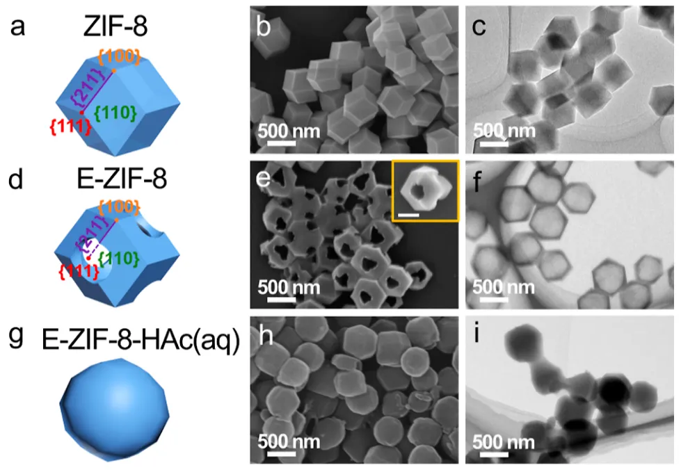 北理王博/王璐，最新JACS！