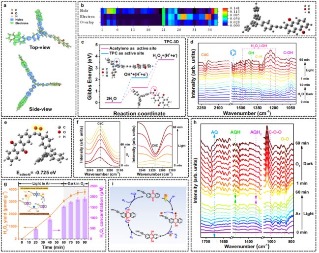 中山大学「国家杰青」欧阳钢锋团队，最新Nature子刊！