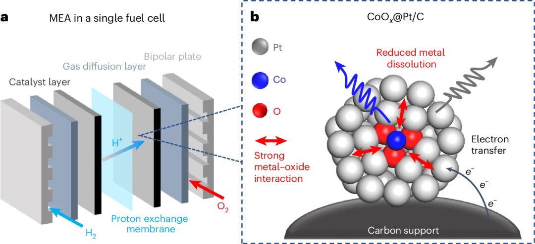 她，顶级名校博士！师从段镶锋/黄昱，一作发表最新Nature Catalysis！