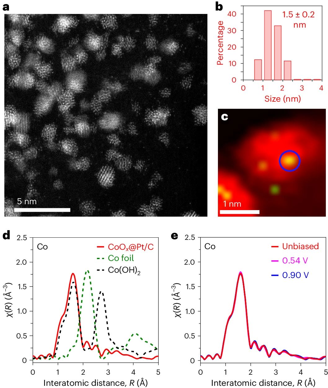 她，顶级名校博士！师从段镶锋/黄昱，一作发表最新Nature Catalysis！