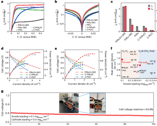 厦门大学「国家杰青」黄小青团队，最新Nature Synthesis!