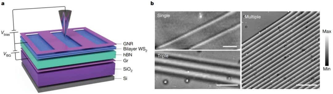 他，西安交大校友，一作兼通讯，24小时连发Science、Nature！