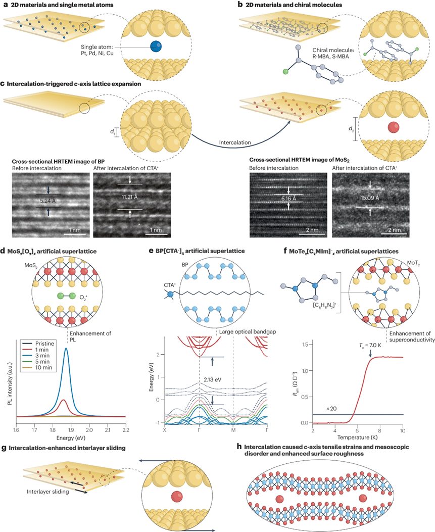 Nature Reviews Chemistry综述：二维材料的插层带来新兴电子相转移