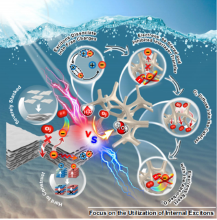 中山大学「国家杰青」欧阳钢锋团队，最新Nature子刊！