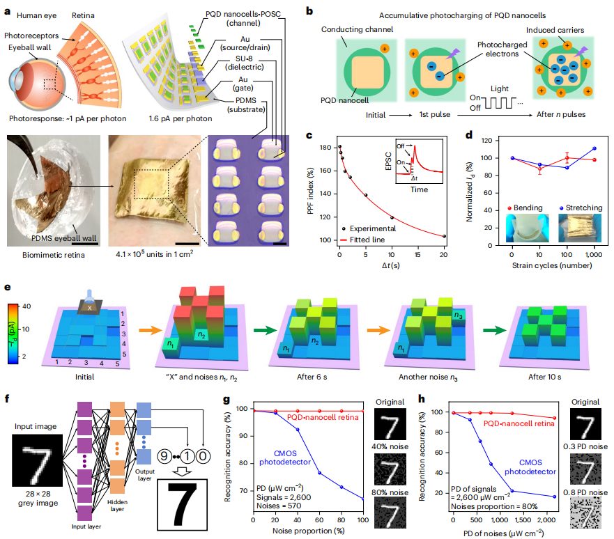 破解领域难题！复旦大学，最新Nature Nanotechnology！