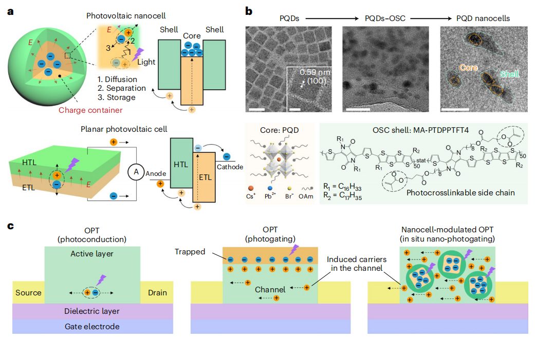 破解领域难题！复旦大学，最新Nature Nanotechnology！