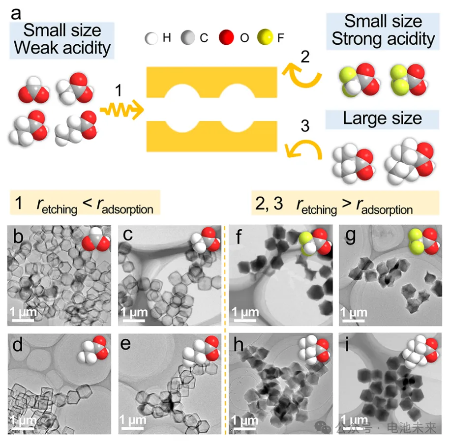 北理王博/王璐，最新JACS！