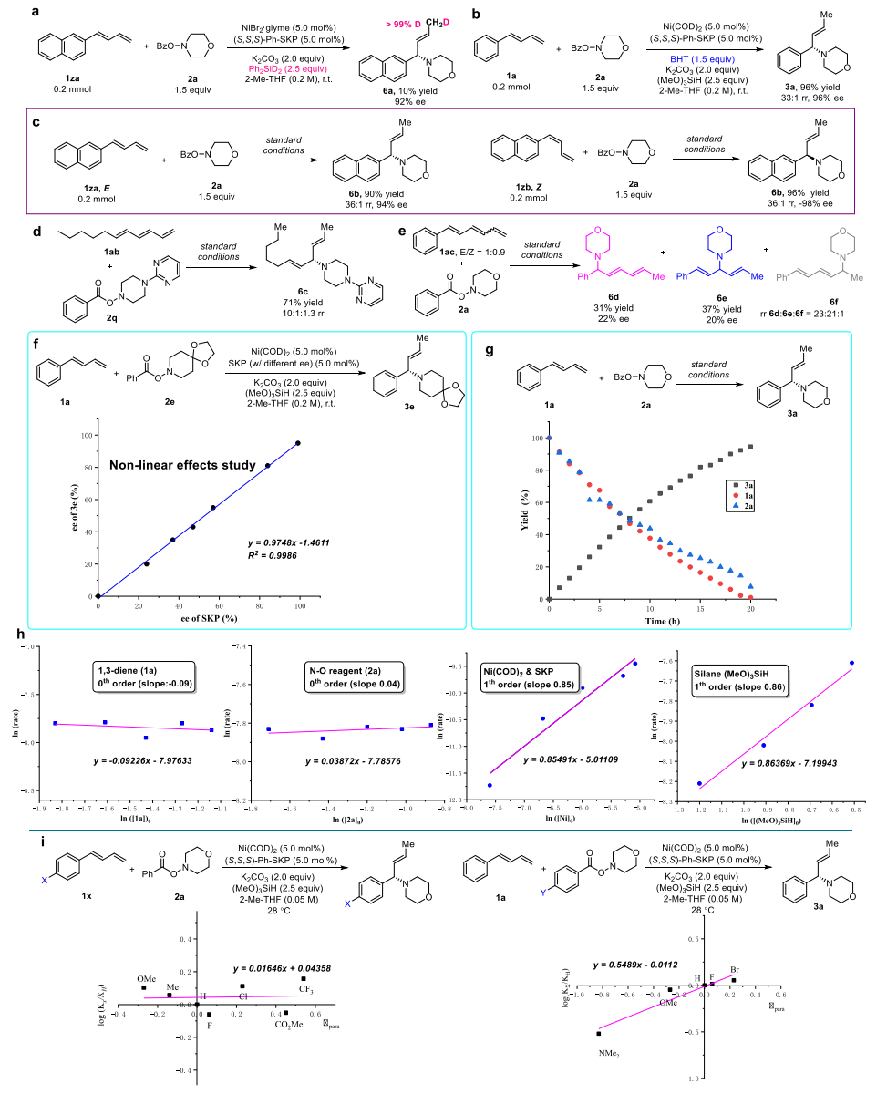 重磅！丁奎岭院士，最新JACS！