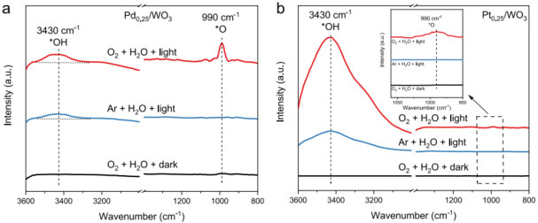 2023新晋院士，最新JACS！