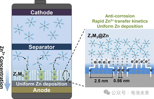 ​三校联合！悉尼科技大学/北交大/郑大，ACS Nano！混合分子筛界面层实现无枝晶锌负极