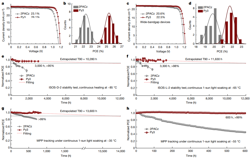 浙大薛晶晶&西湖大学王睿，最新Nature！