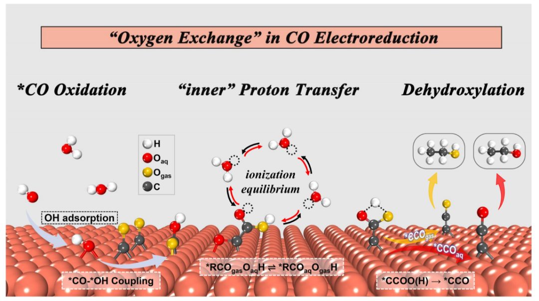 东南大学王金兰/凌崇益团队，最新ACS Catalysis！