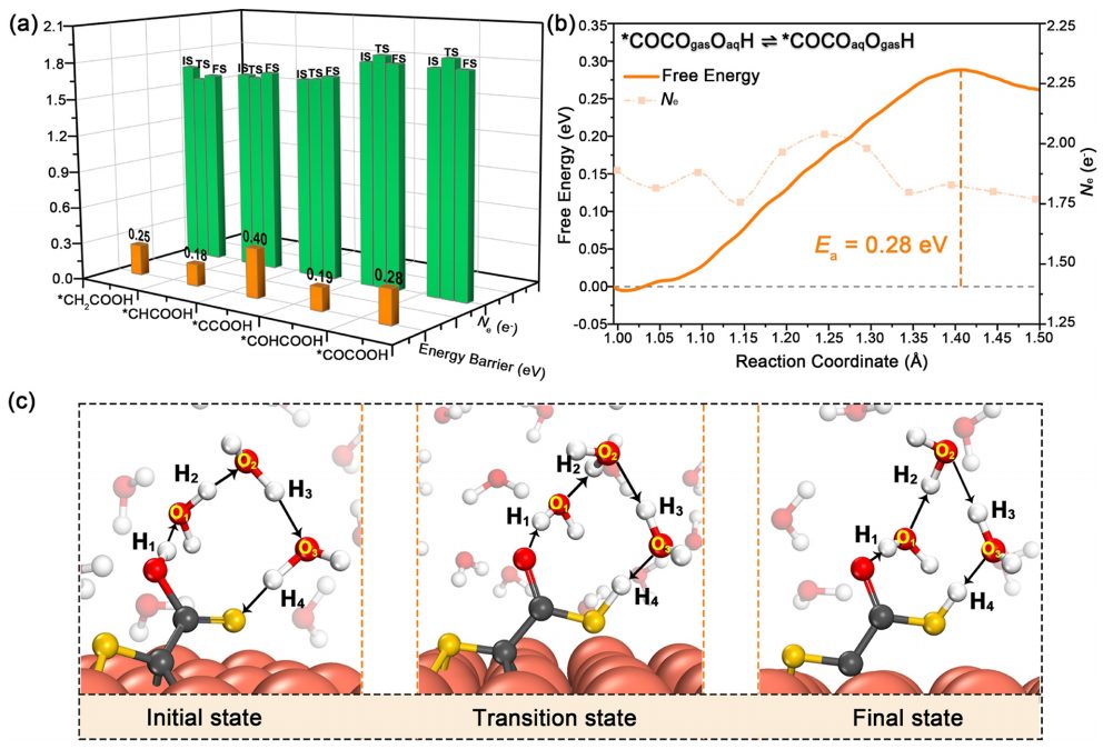 东南大学王金兰/凌崇益团队，最新ACS Catalysis！