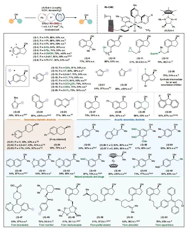 师承诺奖得主！南方科技大学，最新Nature Catalysis！