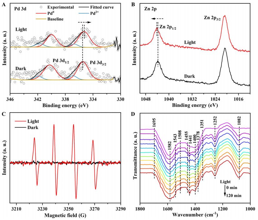 谢毅院士团队，最新JACS！