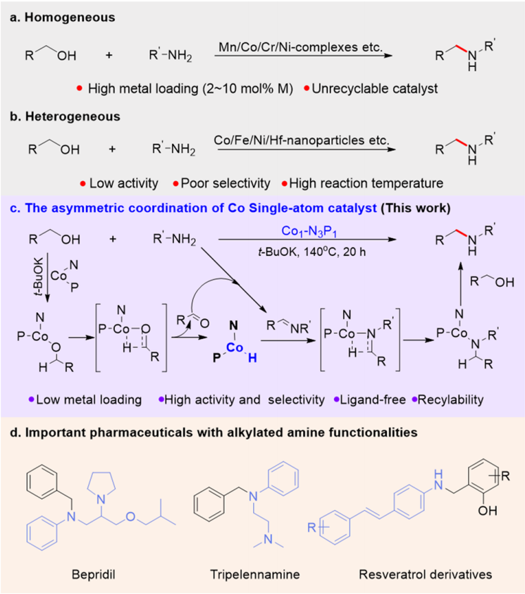 最新！李亚栋院士，JACS！