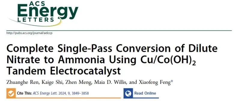 ​冯小峰ACS Energy Lett.: 构建Cu/Co(OH)2串联催化剂，实现NO3−完全转化为NH3