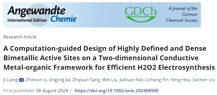 计算指导H2O2电合成！天津大学梁骥/桑志远，最新Angew.！