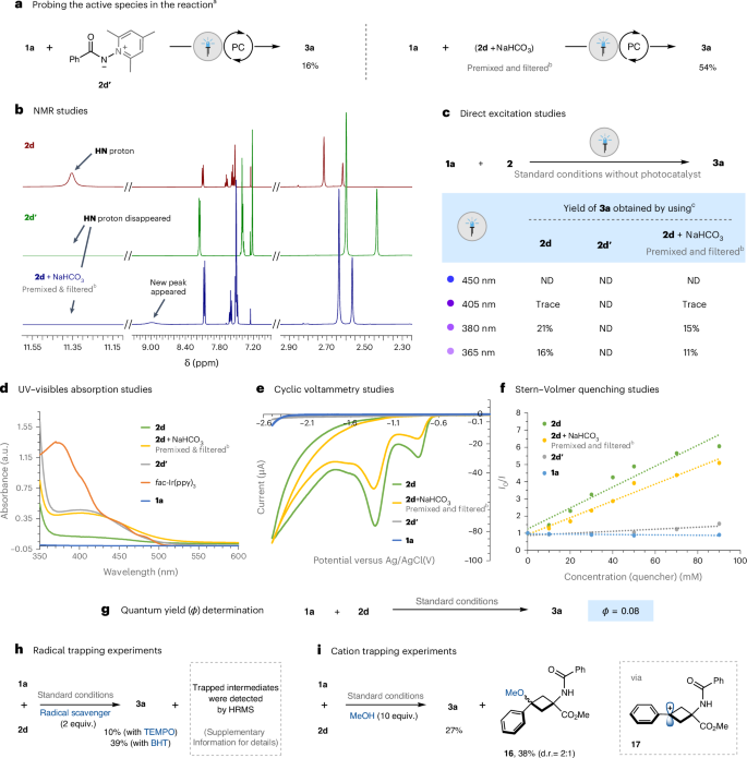 大牛Glorius院士，最新Nature Catalysis！