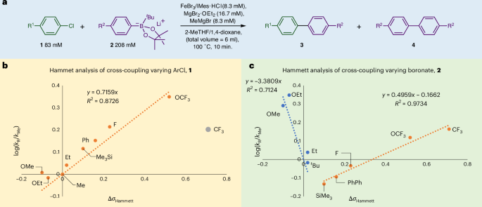 铁基催化，登顶Nature Catalysis！