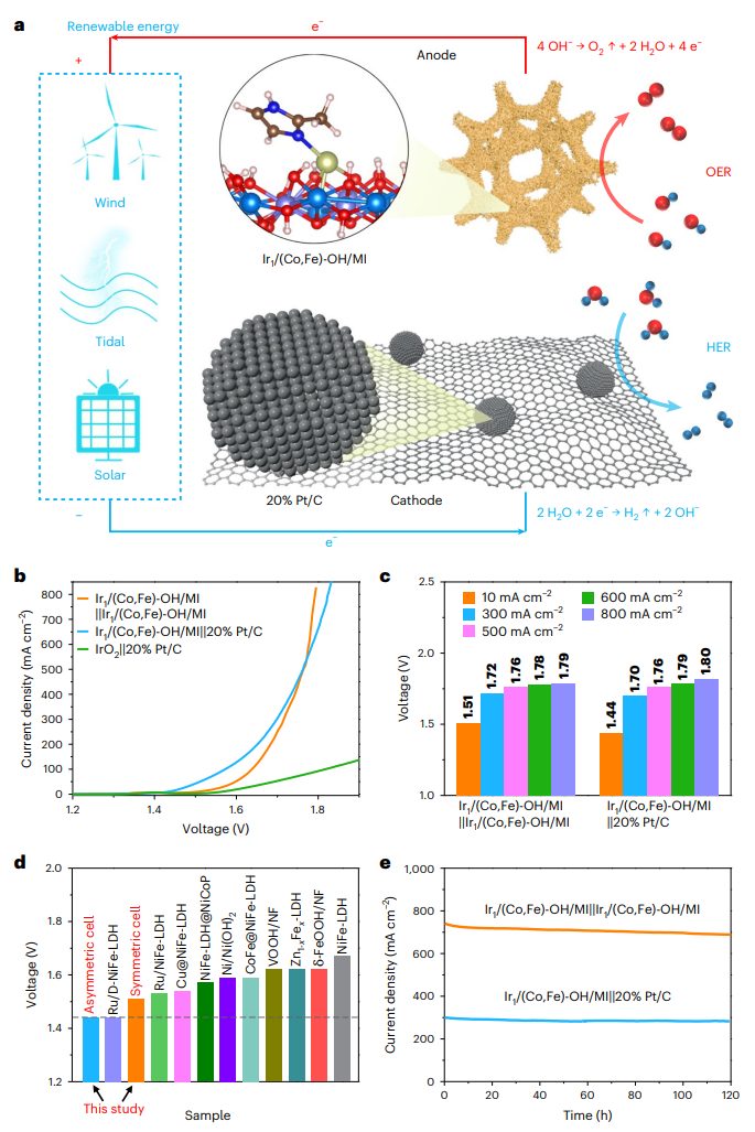 深圳大学，最新Nature Nanotechnology！投稿到接收，刚好1年！