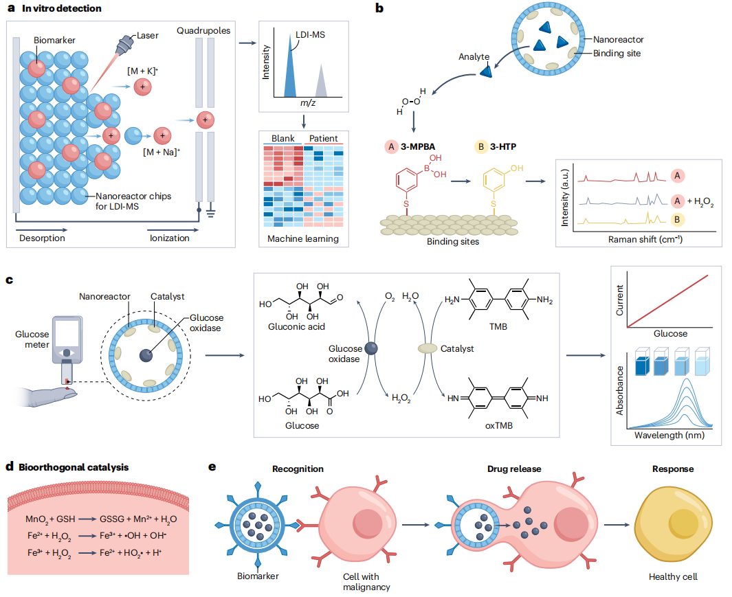 打破校史！“筑巢引凤”，这所双一流大学，迎来首篇Nature Reviews Chemistry封面文章！