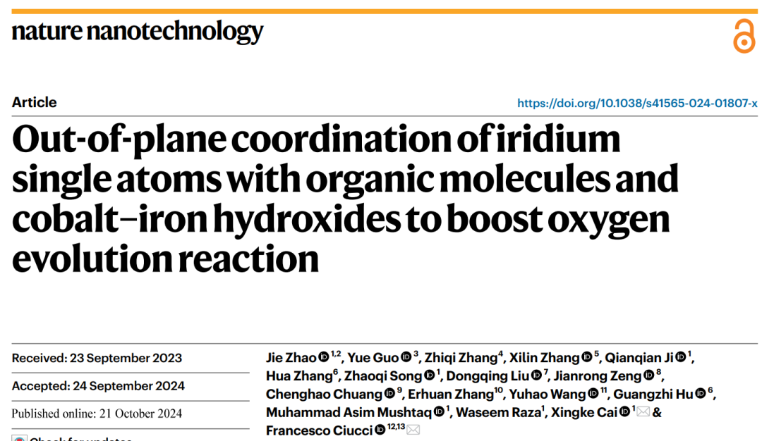 深圳大学，最新Nature Nanotechnology！投稿到接收，刚好1年！