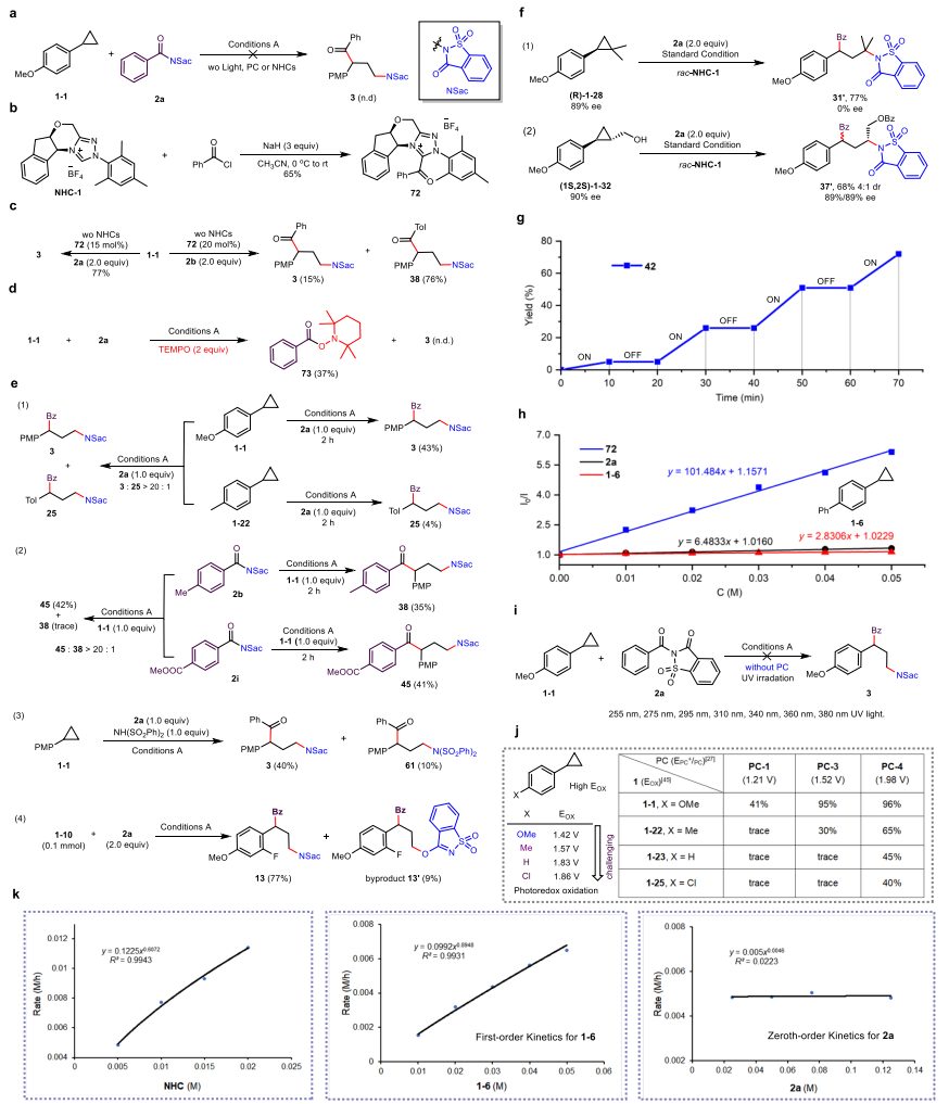 东北师范大学，最新Nature子刊！