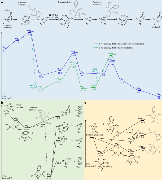 铁基催化，登顶Nature Catalysis！