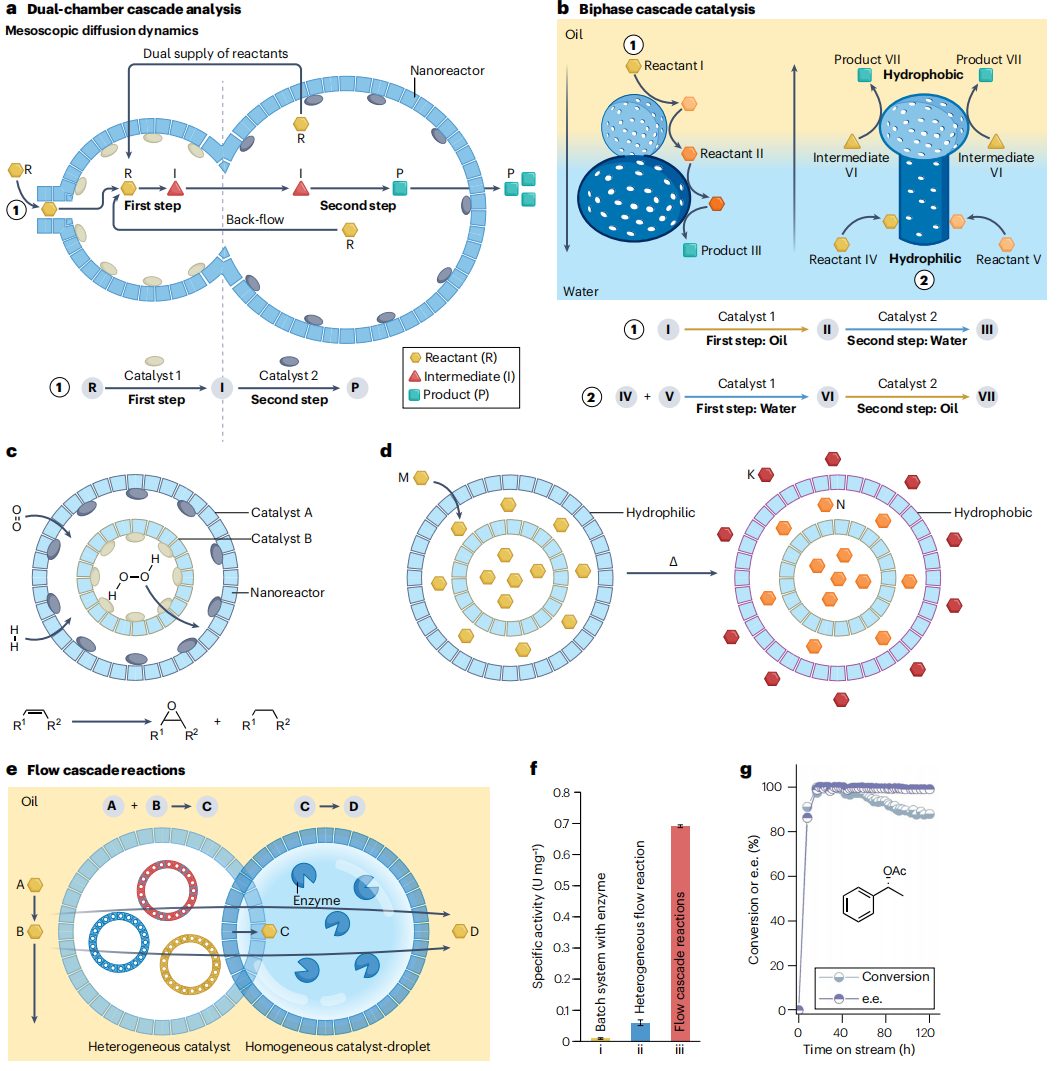 打破校史！“筑巢引凤”，这所双一流大学，迎来首篇Nature Reviews Chemistry封面文章！