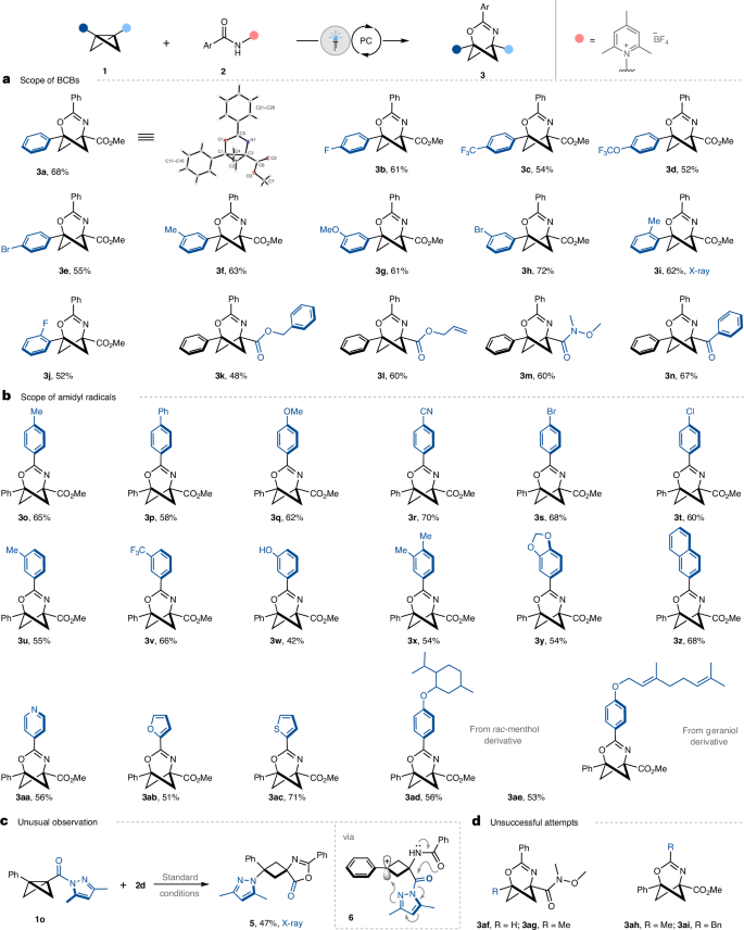 Glorius院士，最新Nature Catalysis！