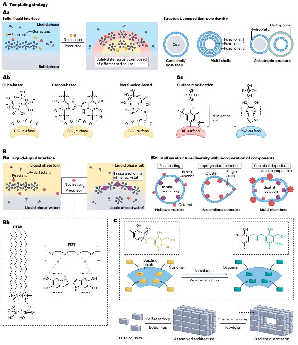 打破校史！“筑巢引凤”，这所双一流大学，迎来首篇Nature Reviews Chemistry封面文章！