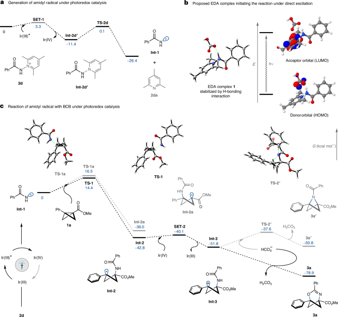 Glorius院士，最新Nature Catalysis！