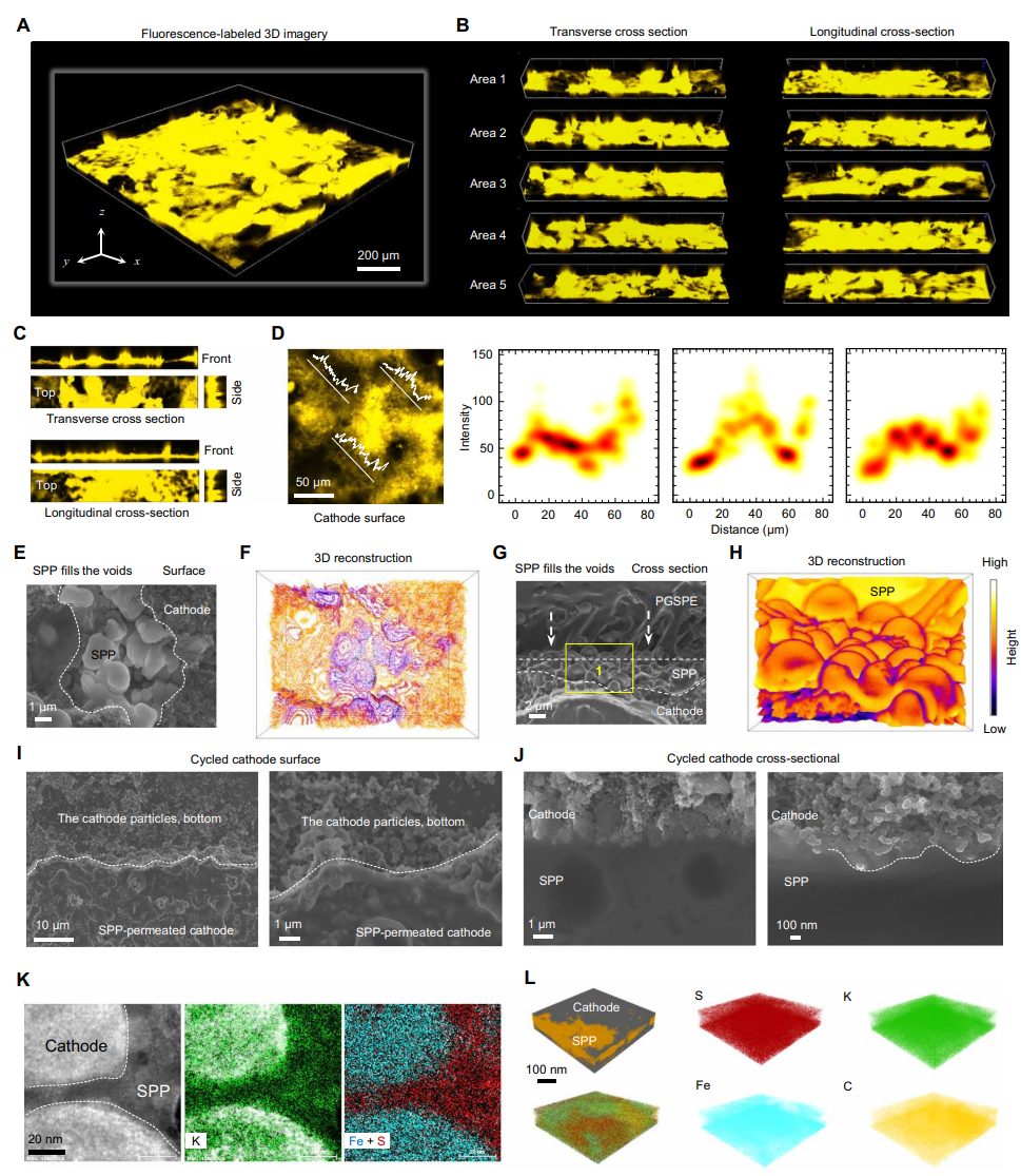 他，30岁曾问鼎校史首篇Nature，「国家优青」/985副院长，新发Science子刊！