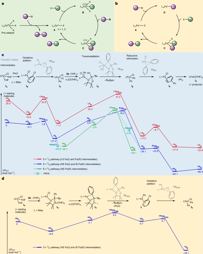 铁基催化，登顶Nature Catalysis！