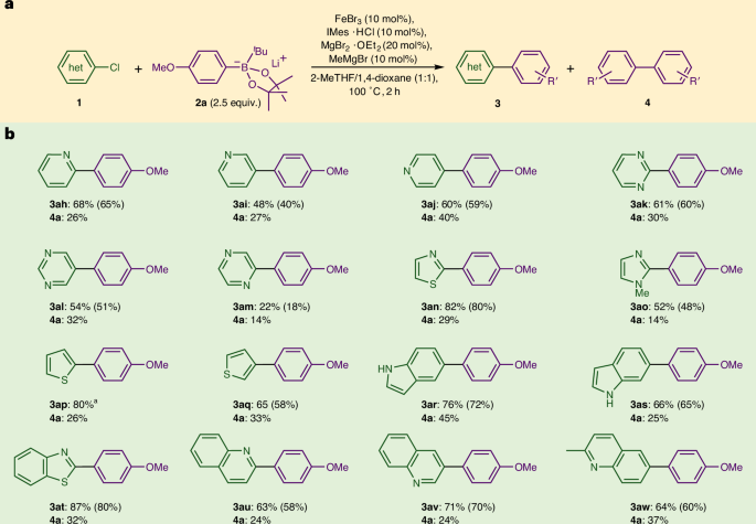 铁基催化，登顶Nature Catalysis！